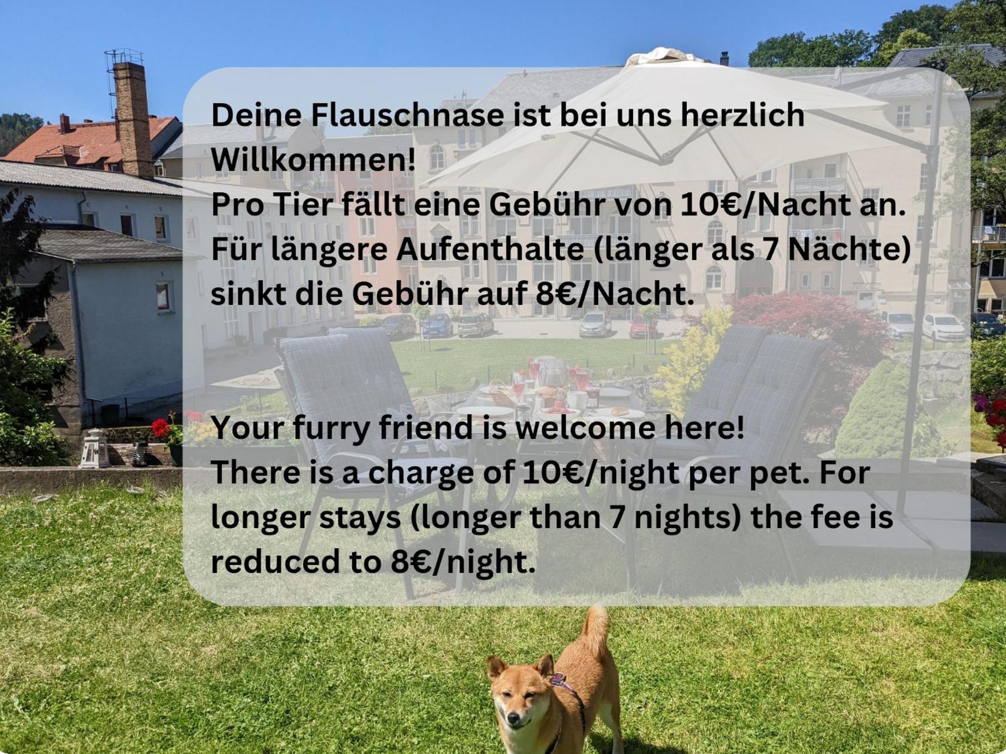 Zi1 - Urlaubsmagie - Erholung Mit Whirlpool & Sauna Sebnitz Bagian luar foto